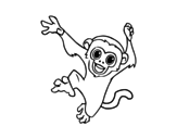 Baby capuchin monkey coloring page