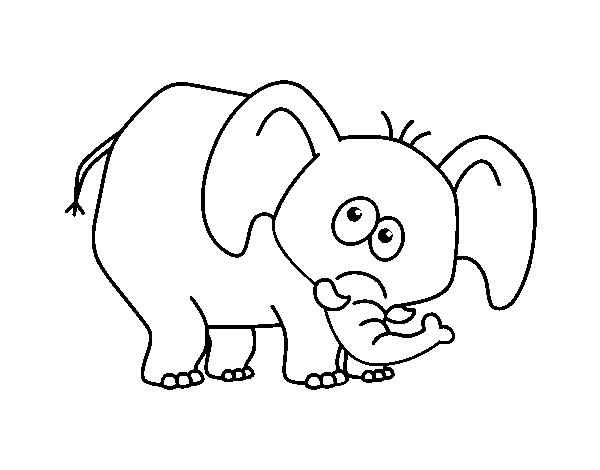 Bashful elephant coloring page