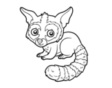 Bassariscus coloring page