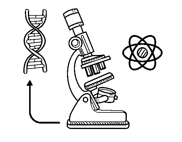 Biology coloring page