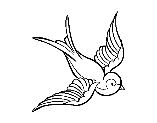 Bird tattoo coloring page