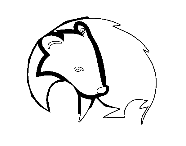 Black badger coloring page
