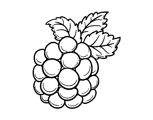 Blackberry coloring page