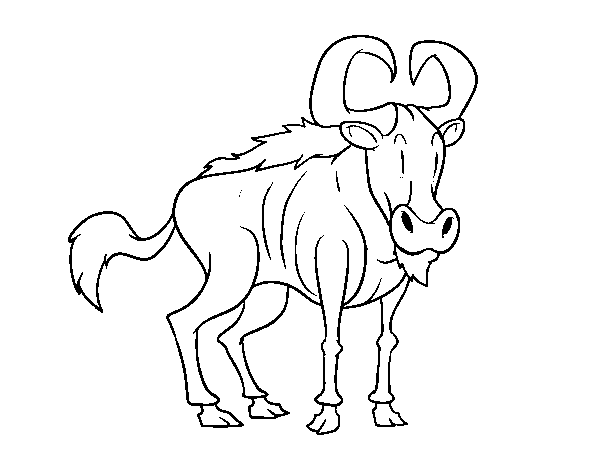 Blue wildebeest coloring page