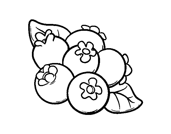 Blueberries coloring page
