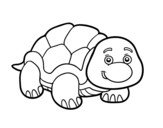 Box turtle coloring page