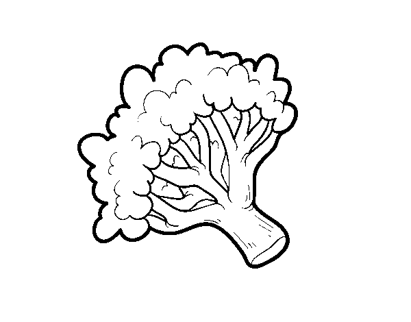 Broccoli branch coloring page