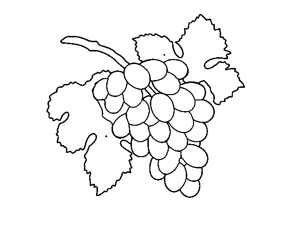 Bunch of grapes coloring page