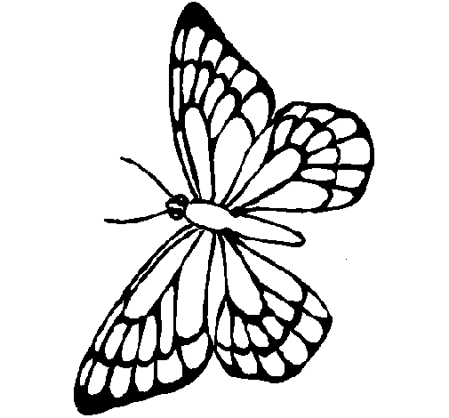 Butterfly 10 coloring page