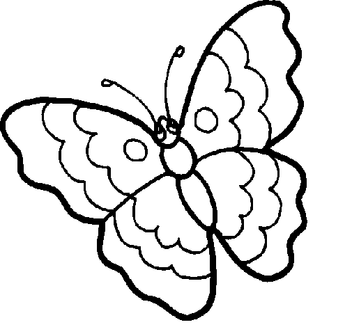 Butterfly 13 coloring page
