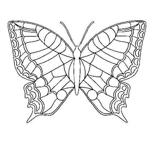 Butterfly 16 coloring page