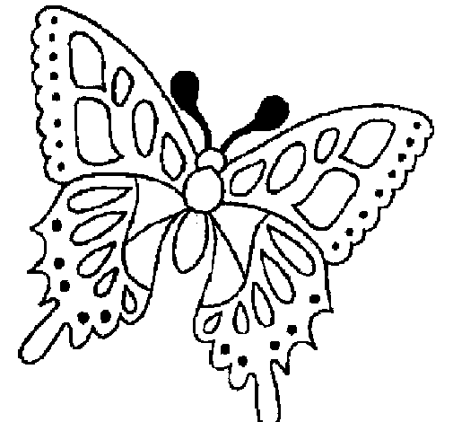 Butterfly 2a coloring page