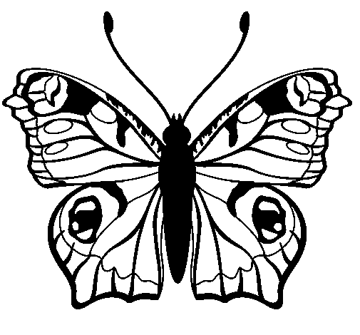Butterfly 20 coloring page