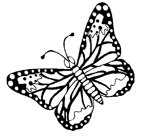 Butterfly 4 coloring page
