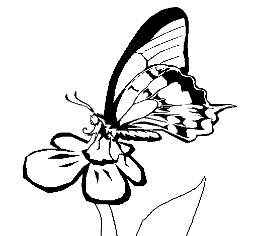 Butterfly on flower coloring page