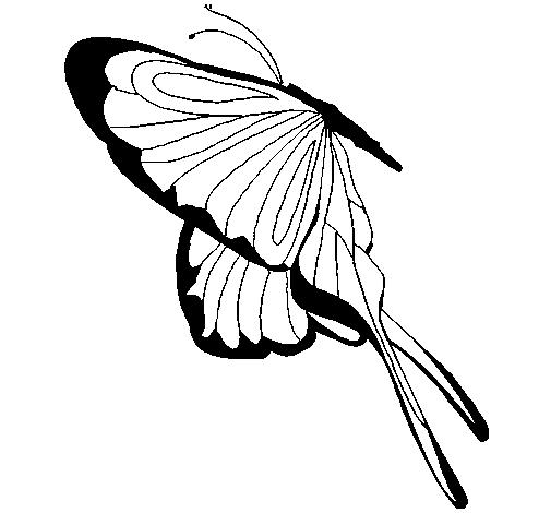Butterfly with large wings coloring page