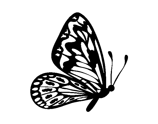 Butterfly with normal wings coloring page