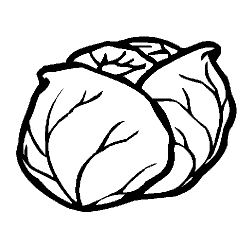 cabbage coloring page