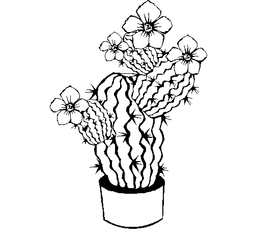 Cactus flowers coloring page