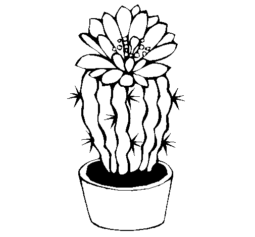 Cactus with flower coloring page