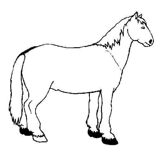 Calm horse coloring page