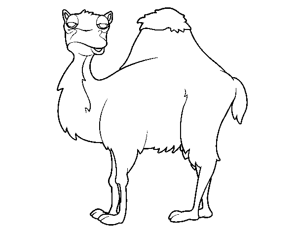 Camel boring coloring page