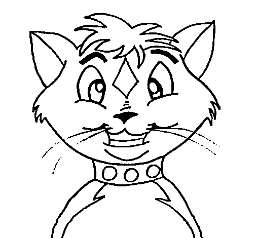 Cat with collar coloring page