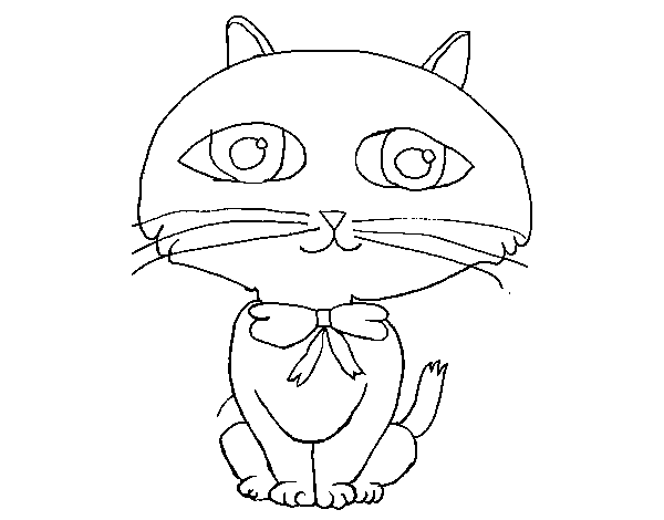Cat with long moustache coloring page