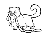 Cat with sausage coloring page