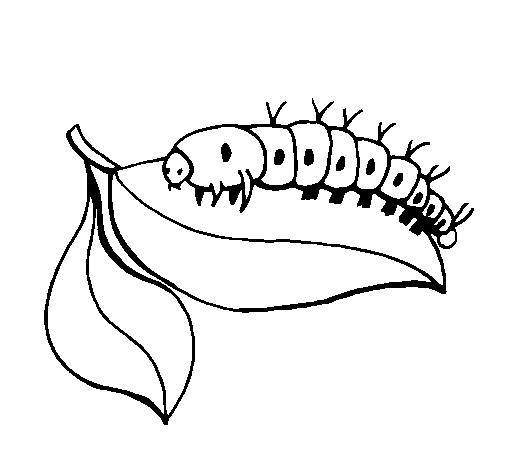 Caterpillar on leaf coloring page