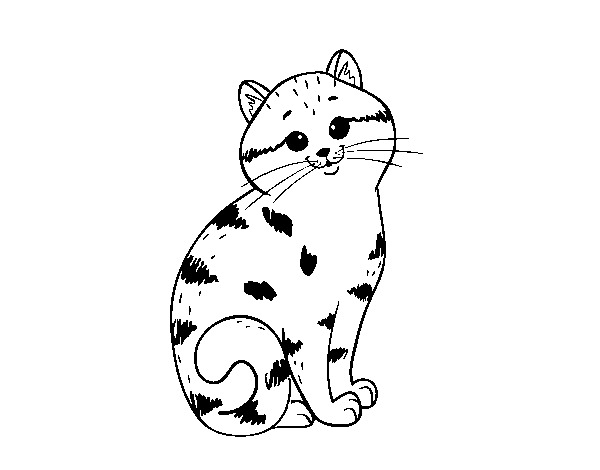 Charming kitten coloring page