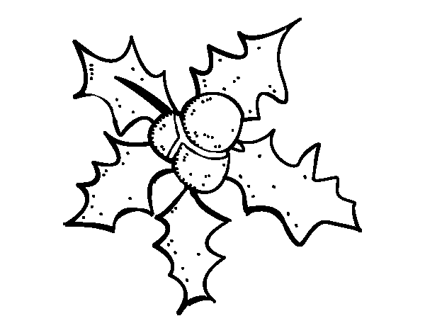 Christmas Holly coloring page