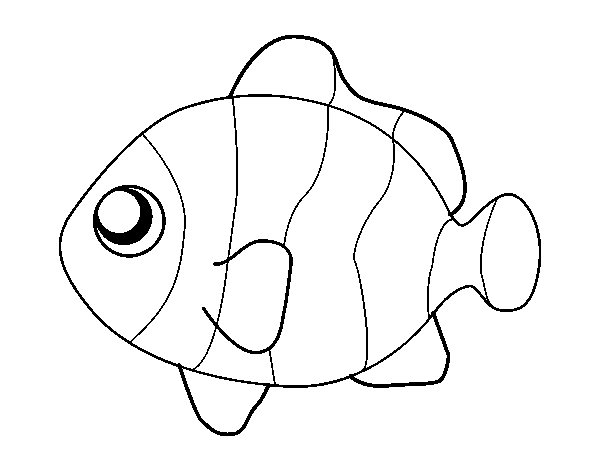 Clownfish coloring page