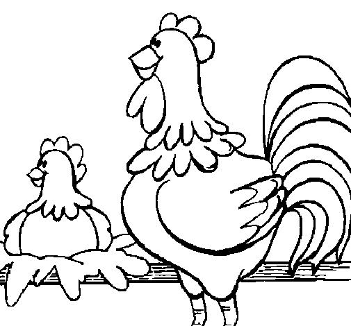 Cock and hen coloring page