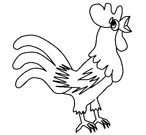 Cock coloring page