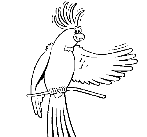 Cockatiel with bow tie coloring page