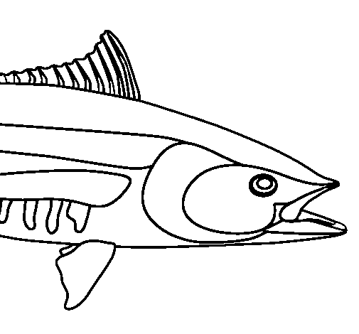 Common carp coloring page