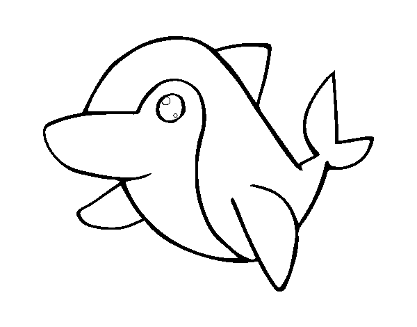 Common dolphin coloring page
