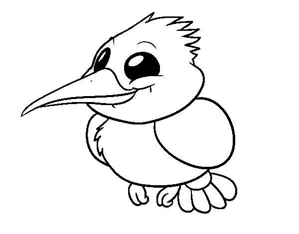 Common Kingfisher coloring page
