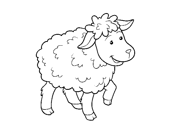 Common Sheep coloring page