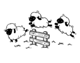 Count sheep coloring page