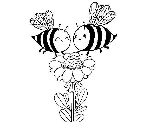 Couple of bees coloring page