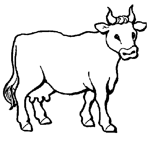 Cow 3 coloring page