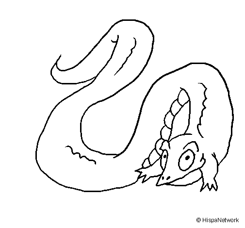 Crocodile with long tail coloring page