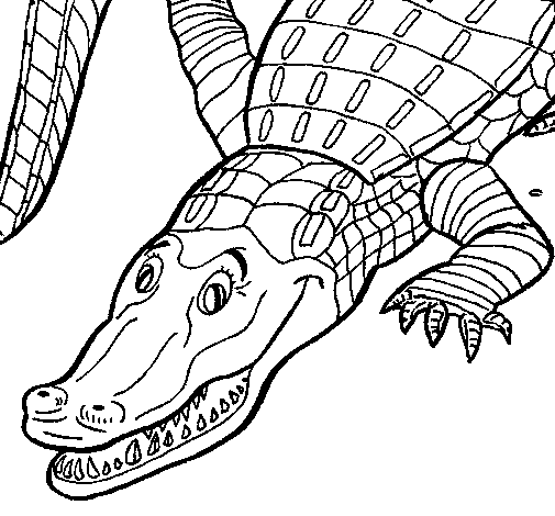 Crocodile coloring page