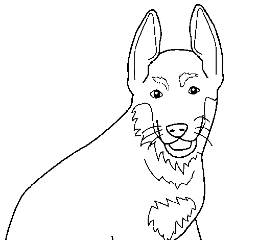 Dog 4a coloring page