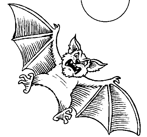 Dog-like bat coloring page