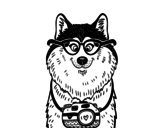 Dog photographer coloring page