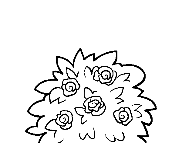Dog-rose coloring page