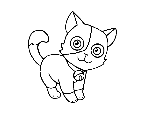 Domestic cat coloring page
